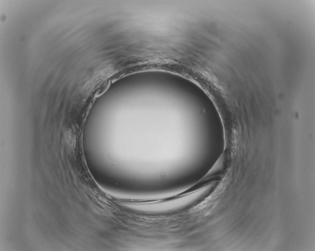 X0000089431257200706291305