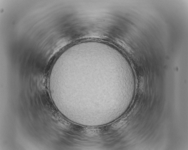 X0000089431258200706291305