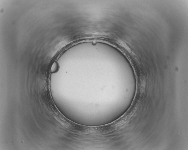 X0000089431259200706291305