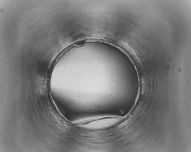 X0000089431260200706291305