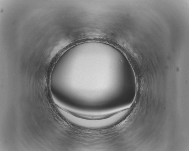 X0000089431261200706291305