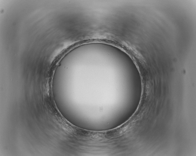 X0000089431262200706291305