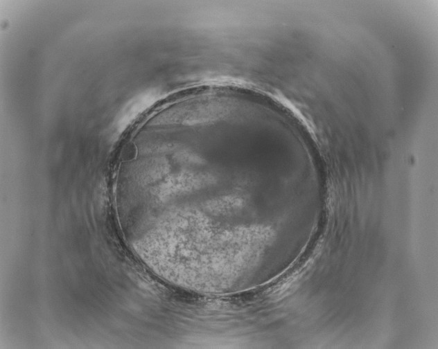 X0000089431263200706291305