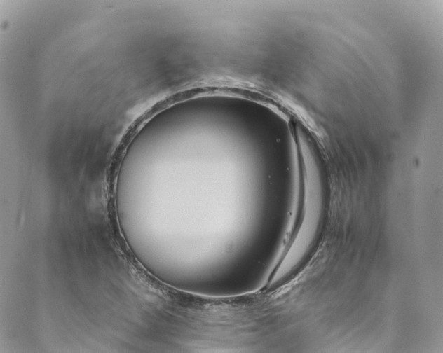 X0000089431264200706291305