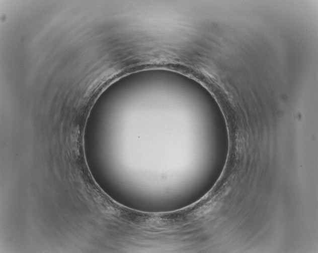 X0000089431265200706291305