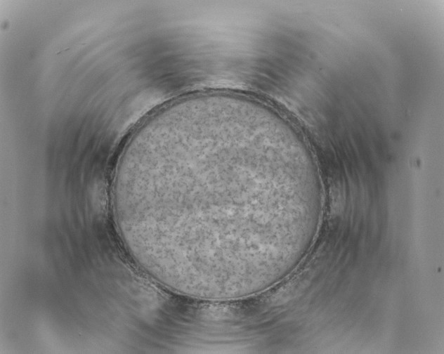 X0000089431266200706291305