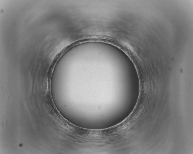 X0000089431267200706291305