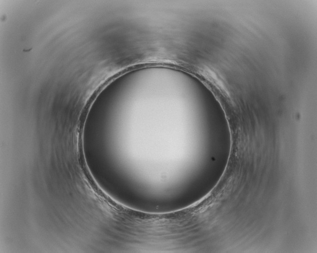 X0000089431268200706291305