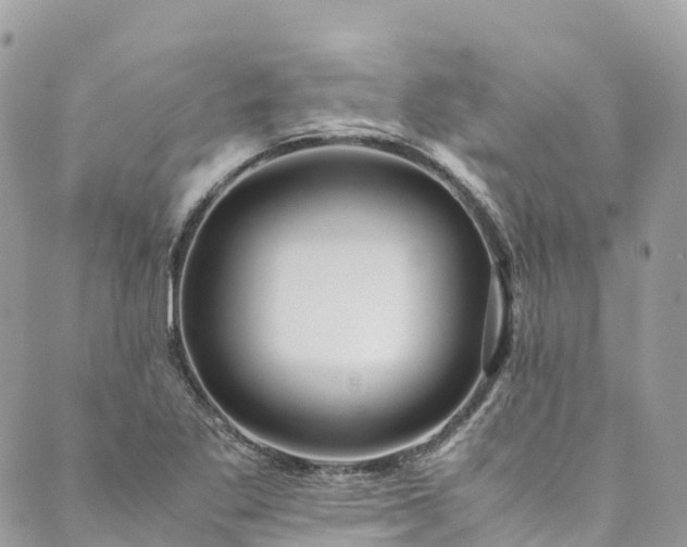 X0000089431269200706291305