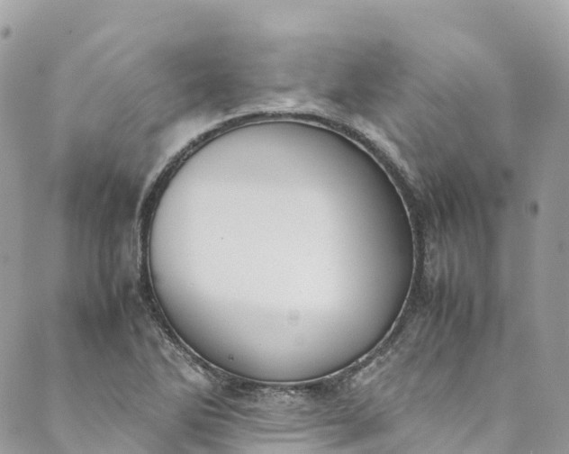 X0000089431270200706291305