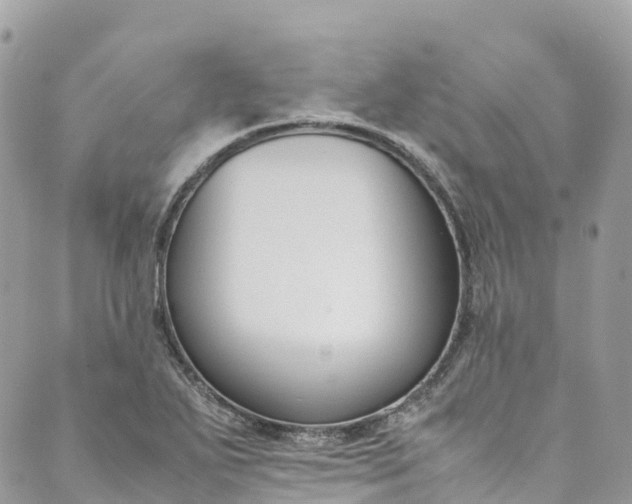 X0000089431271200706291305