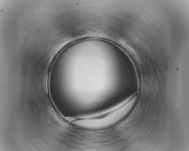 X0000089431272200706291305