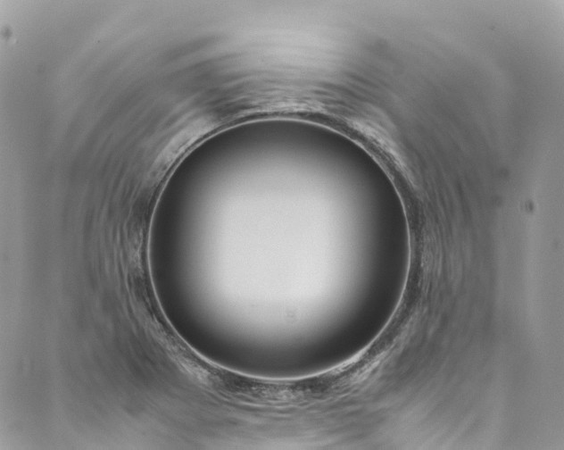 X0000089431273200706291305