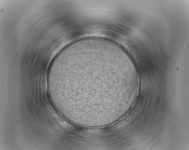 X0000089431274200706291305