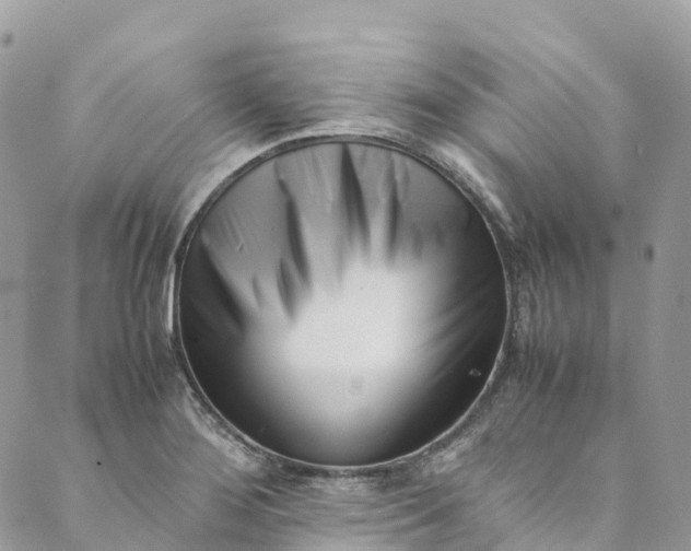 X0000089431276200706291305