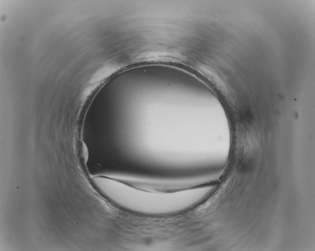 X0000089431277200706291305