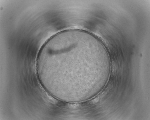 X0000089431278200706291305