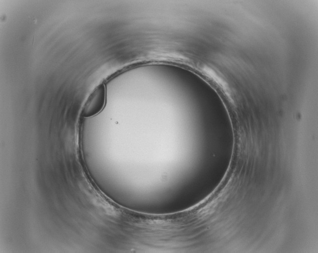 X0000089431280200706291305