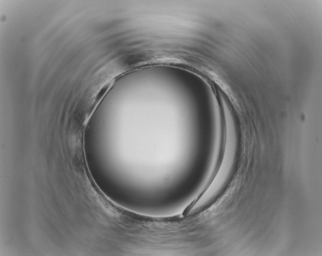 X0000089431281200706291305