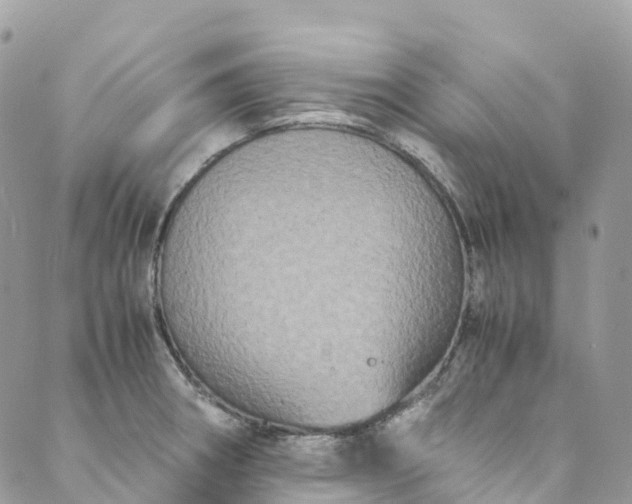 X0000089431282200706291305