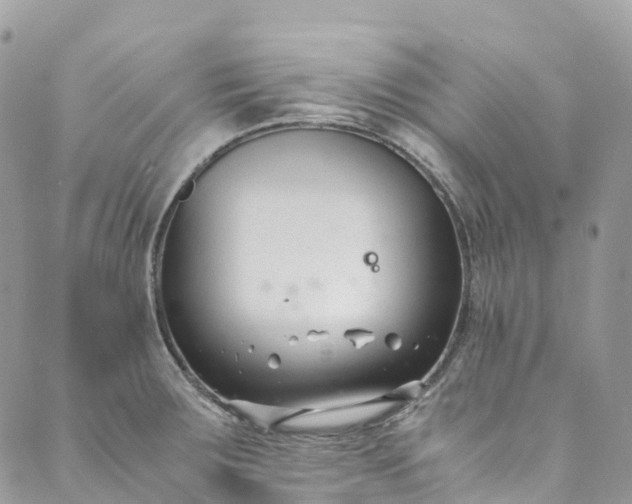 X0000089431283200706291305