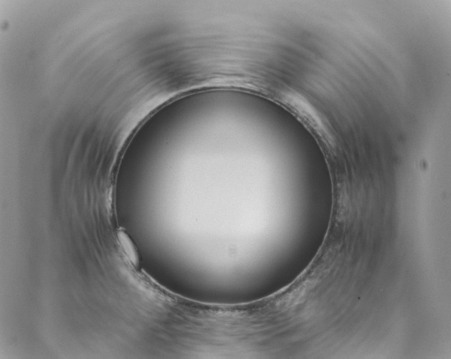 X0000089431284200706291305