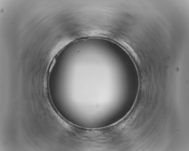 X0000089431285200706291305