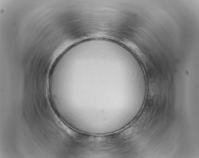 X0000089431286200706291305