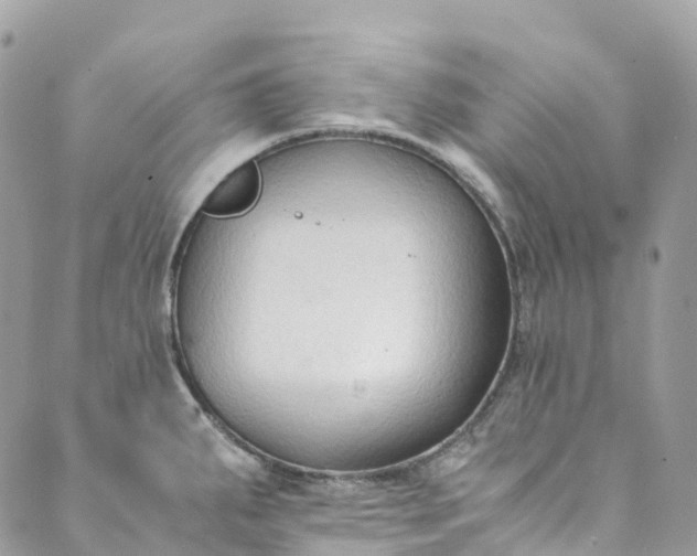 X0000089431287200706291305