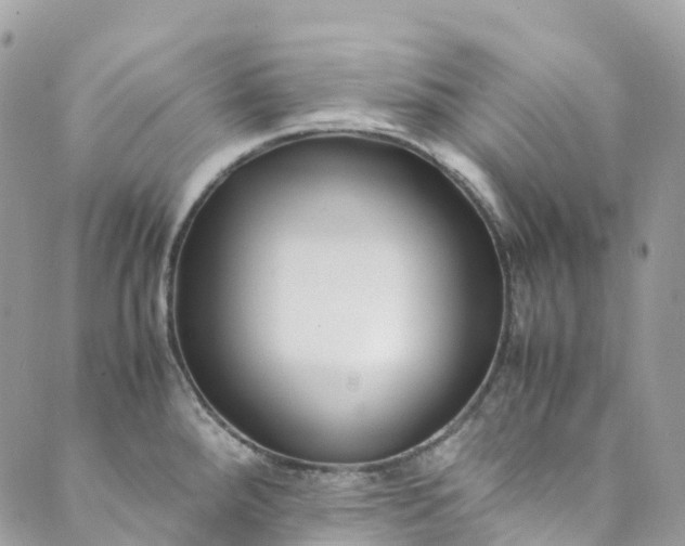 X0000089431288200706291305