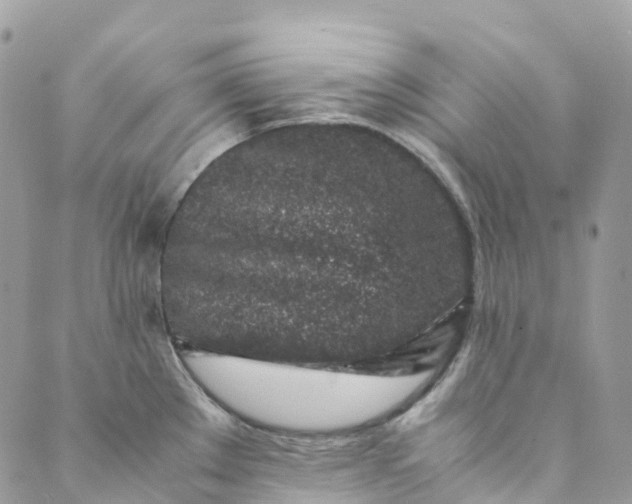 X0000089431289200706291305