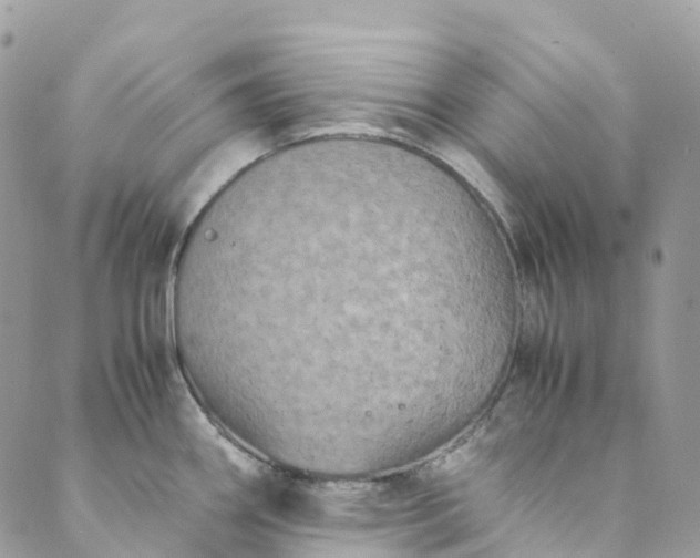 X0000089431290200706291305