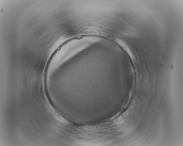 X0000089431291200706291305