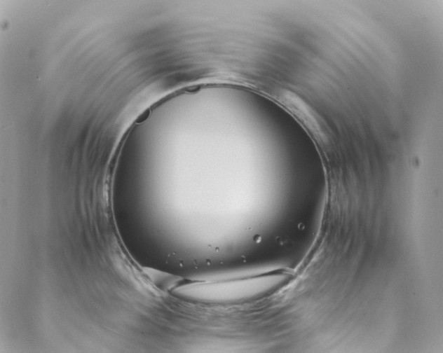 X0000089431292200706291305