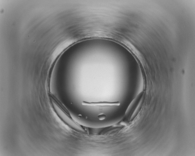 X0000089431293200706291305