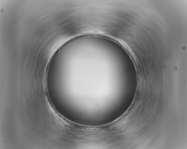 X0000089431295200706291305