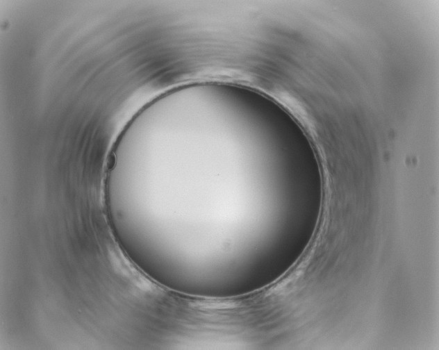 X0000089431296200706291305