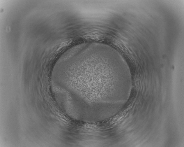 X0000089431297200706291304