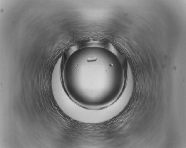 X0000089431298200706291304