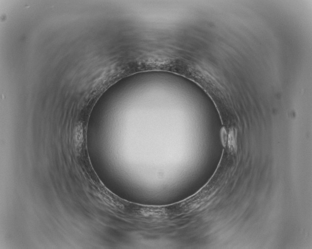 X0000089431299200706291304