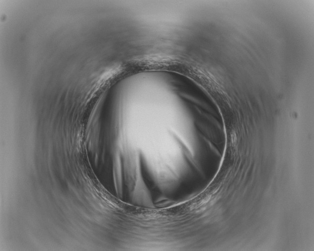 X0000089431300200706291304