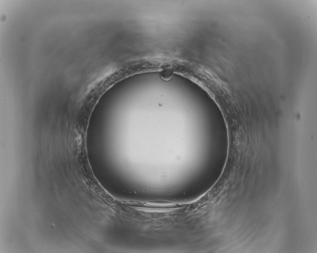 X0000089431302200706291304