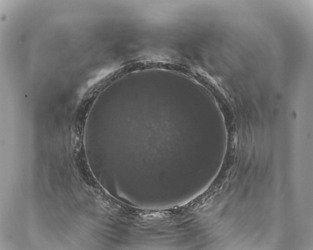 X0000089431303200706291304