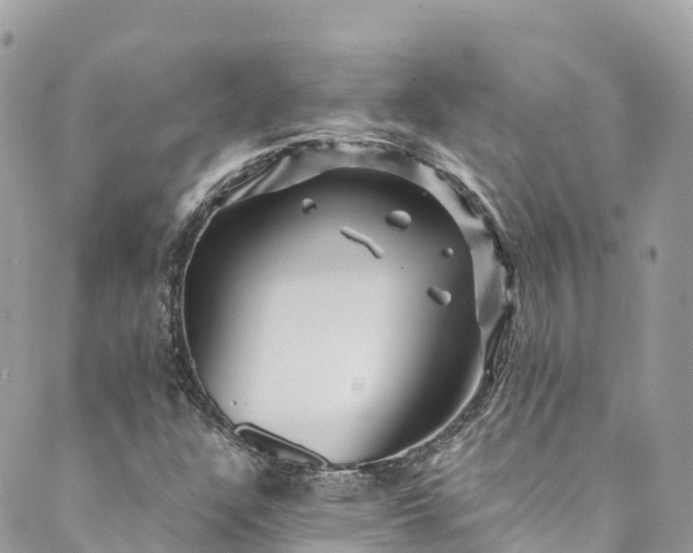 X0000089431304200706291304