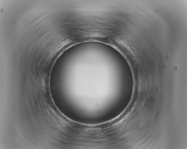 X0000089431305200706291304