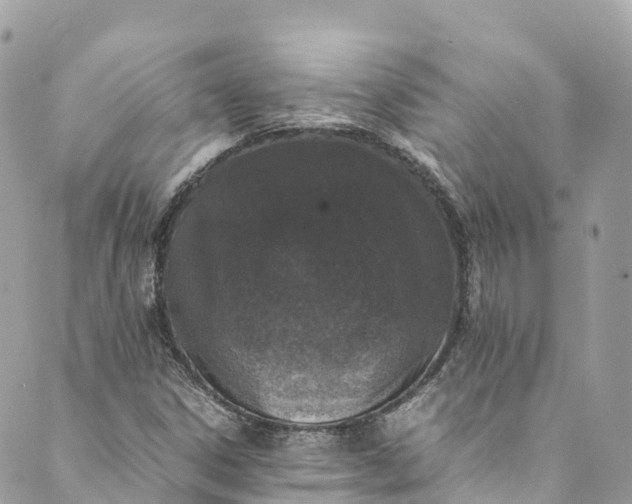 X0000089431306200706291304