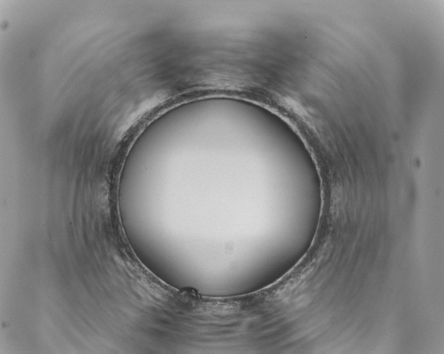 X0000089431307200706291304