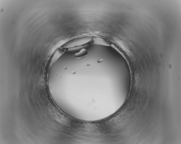 X0000089431308200706291304