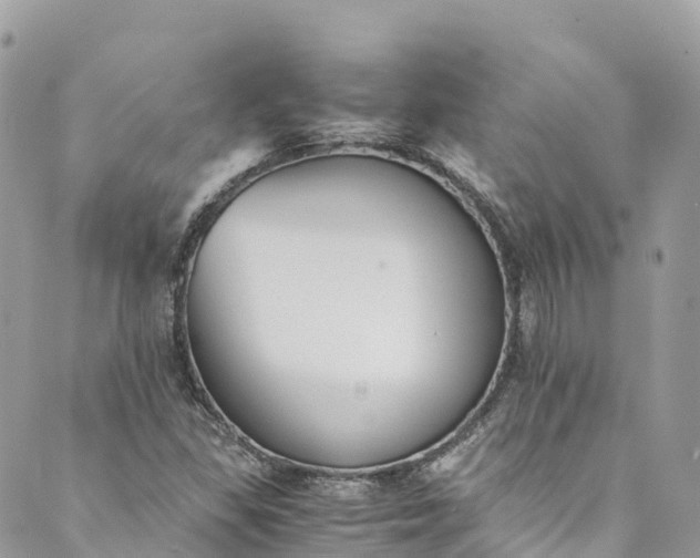 X0000089431309200706291304