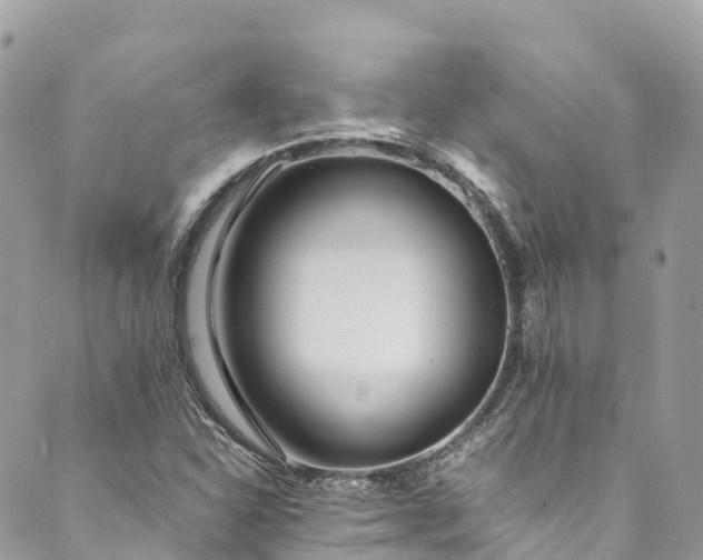 X0000089431310200706291304